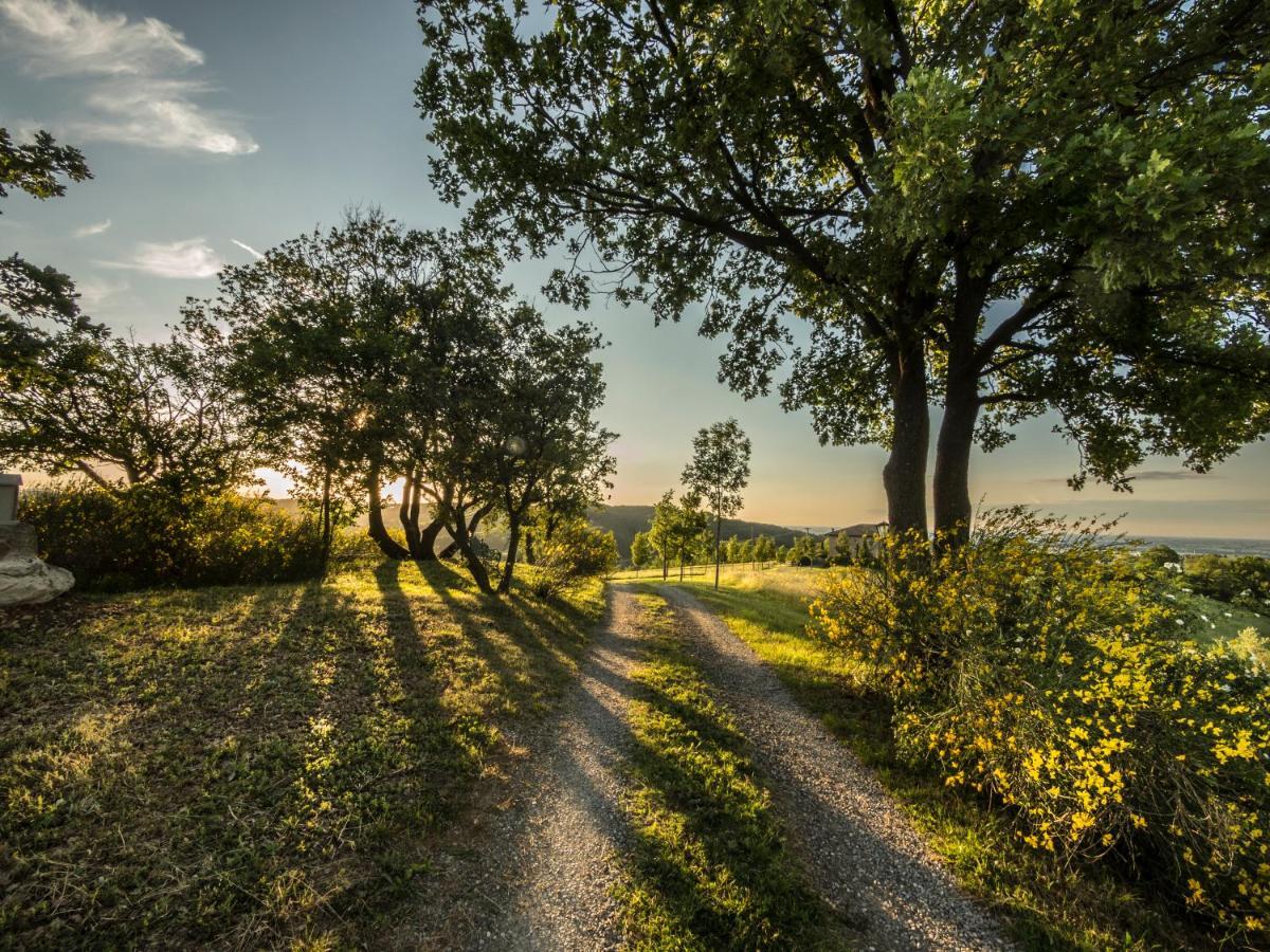 Parco Di Montebello Quattro Castella Екстериор снимка